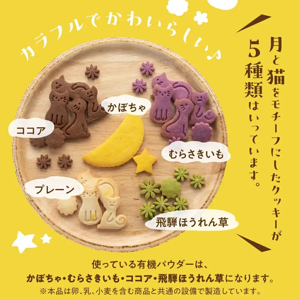 【定期便 3回】下呂の人気クッキー 3ヵ月定期便（ANoi＆one sweets＆atataka）【tc13】 