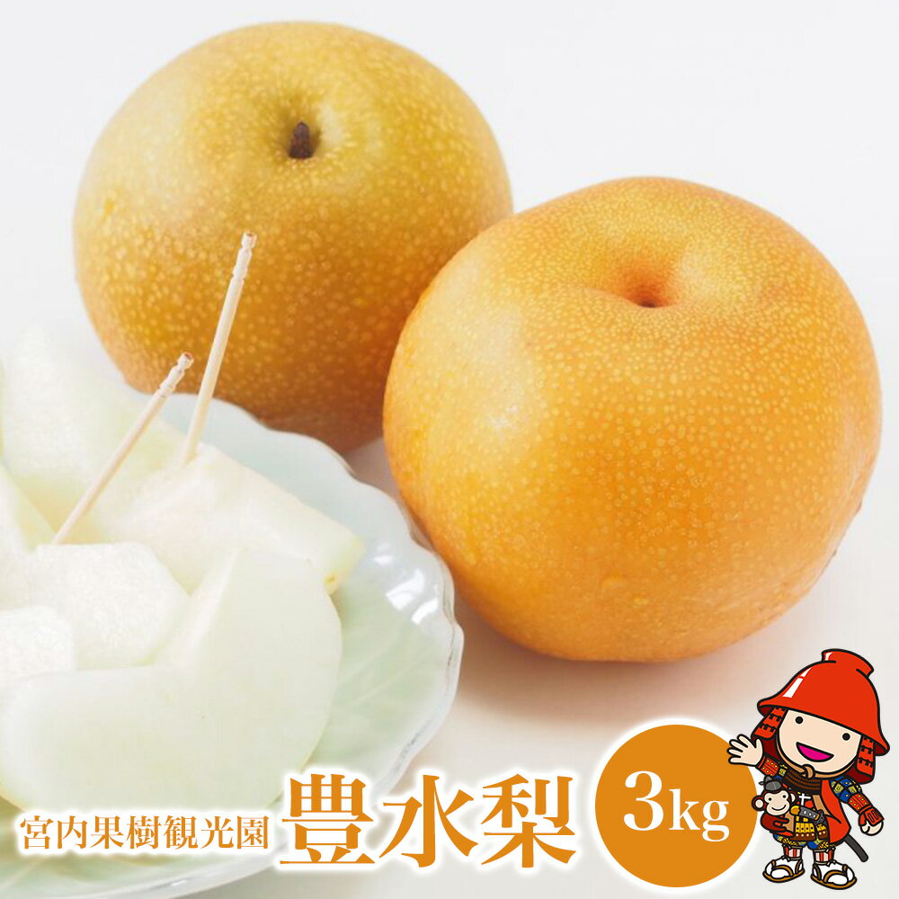 【ふるさと納税】【先行予約】【数量限定】 宮内果樹観光園の豊水梨 約3kg | フルーツ 果物 くだもの 梨 なし ナシ 豊水 豊水梨 産地直送 大分県 中津市 国産 送料無料【発送は2025年8月20日〜2025年8月27日頃の予定】