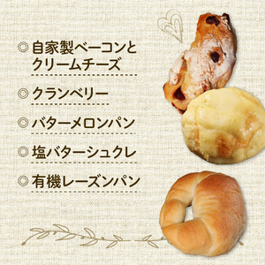 【自家培養酵母】店主厳選アラカルトパン 10点セット 惣菜パン 冷凍パン