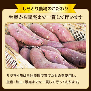 干し芋（スティックタイプ）訳あり品　200g（100g×2パック）