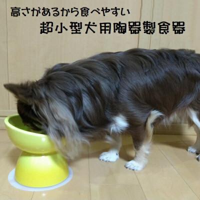 ふるさと納税 奈良市 ペット用食器 超小型犬種用 陶器製食器 イエロー 9-058 53623-6-CHOB11