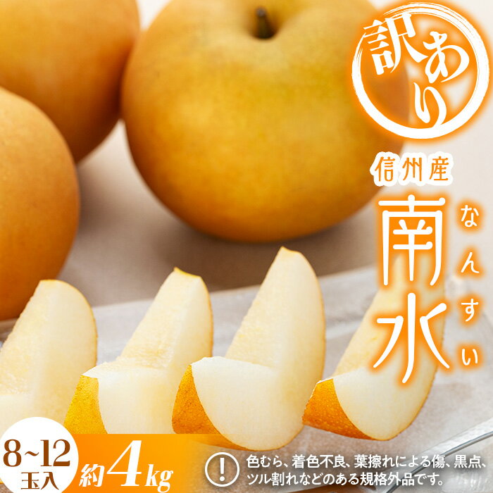 【ふるさと納税】訳あり 梨 南水 4kg 8～12玉 南水梨 なし ナシ 傷 キズ 果物 くだもの フルーツ 旬の果物 旬のフルーツ 家庭用 訳アリ 信州 長野 長野県 　お届け：2026年10月上旬から11月下旬まで