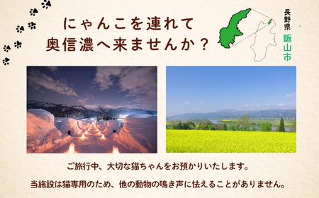 【長野県飯山市】にゃんほてる（猫専用ペットホテル） リベティベル 利用券3,000円分（T-17） 長野県 飯山市 おすすめ ランキング 高評価 大人気 ギフト