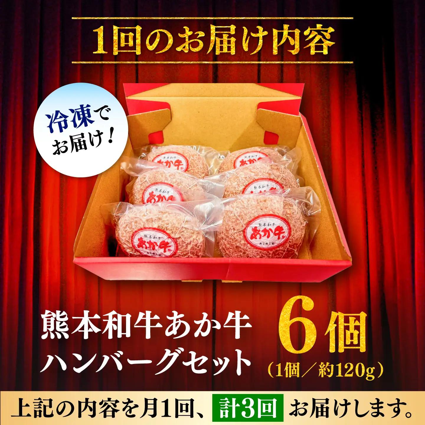 全3回定期便 熊本和牛 あか牛 ハンバーグ セット 約120g×6個 BHAS033 ハンバーグ