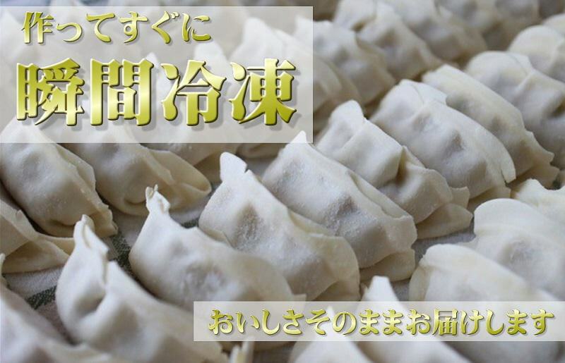 【期間限定】生餃子 50個セット【小分け 10パック 甘いと評判 松波キャベツ使用 冷凍餃子 焼くだけ 人気 惣菜】 010B1538_イメージ3