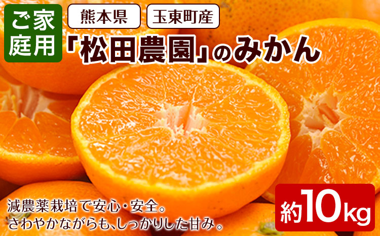 みかん ご家庭用『松田農園』ご家庭用みかん 約10kg(S-2Lサイズ) たっぷり《11月上旬-12月下旬頃出荷》 【日付指定不可】 予約受付中 フルーツ 秋 旬 約10kg 熊本県玉名郡玉東町『松田農園』 こだわり ミカン！ちょこっと 訳あり
