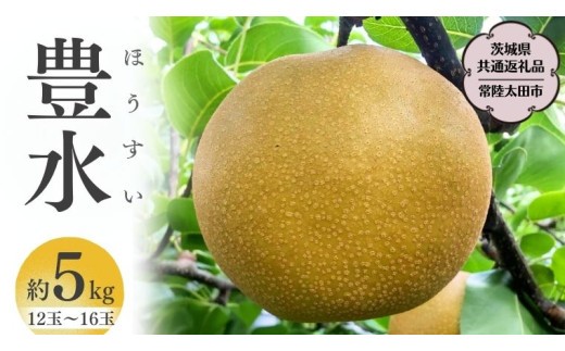 
             茨城県産 梨 「 豊水 」  約 5kg 12玉 ～ 16玉【茨城県共通返礼品／常陸太田市】 桧山果樹園 農家直送 フルーツ  甘い 直送 茨城 限定 ギフト 梨 豊水 ほうすい 果物 [DU004sa]
          