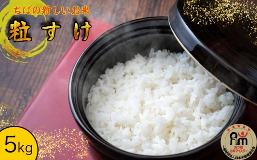 米 粒すけ 5kg 【五ツ星お米マイスター厳選】 お米 米 白米 コメ こめ ご飯 千葉県産 根本商店 ちばの新しいお米大粒で程よい粘りと食感の美味しい　