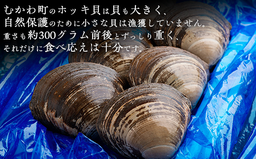 鵡川漁協発!特選ホッキ貝(3kg) MKWV001 ホッキ貝 ホッキ ホッキ貝 ホッキ ホッキ貝 ホッキ ホッキ貝 ホッキ ホッキ貝 ホッキ ホッキ貝 ホッキ ホッキ貝 ホッキ ホッキ貝 ホッキ ホッ