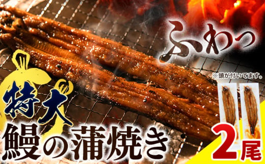 うなぎ 国産 鰻の蒲焼 1尾あたり約175g以上 × 2尾 特大サイズ 湯煎調理 《30日以内に出荷予定（土日祝除く）)》| うなぎ 蒲焼 国産 うなぎ 小分け うなぎ 国産 うなぎ 父の日 うなぎ 母の日ギフト うなぎ 簡易包装 送料無料 徳島県 上板町