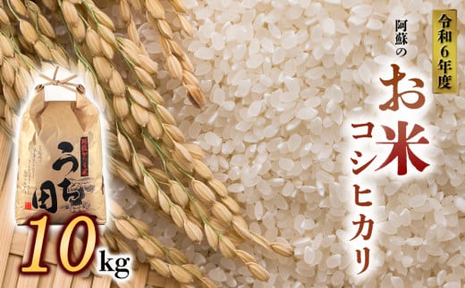 令和6年度産　内田農場の新米　コシヒカリ10kg 5kg×2袋 白米