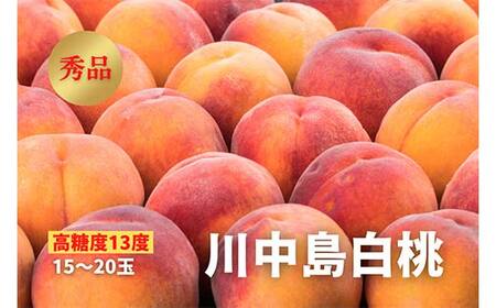 《2026年先行予約》【高糖度13度】川中島白桃 秀品 15～20玉 もも モモ 桃 デザート フルーツ 果物 くだもの 果実 食品 山形県 FSY-2504