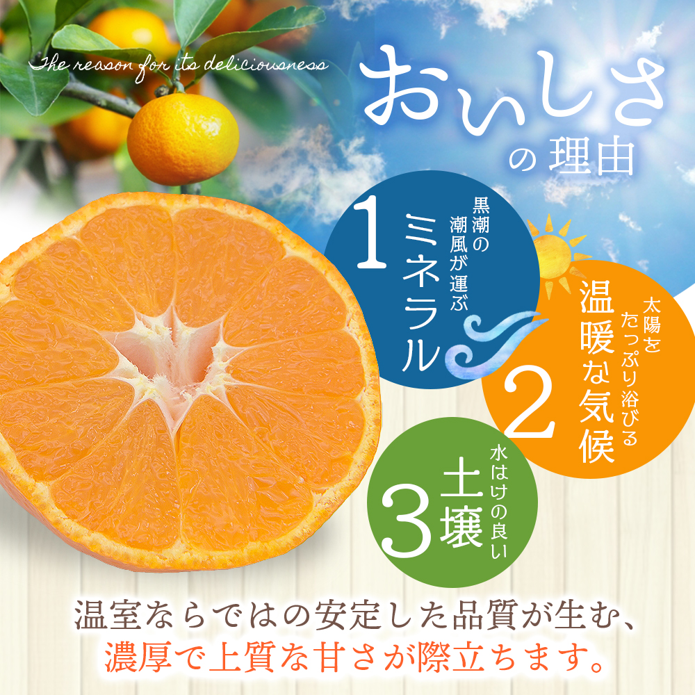 【数量限定】仲森農園の温室みかん 2.5kg 【2026年7月より順次発送予定（お届け日指定不可）】 みかん ミカン 蜜柑 温州みかん 温州ミカン 柑橘 フルーツ 果物 くだもの 産地直送 三重県 熊