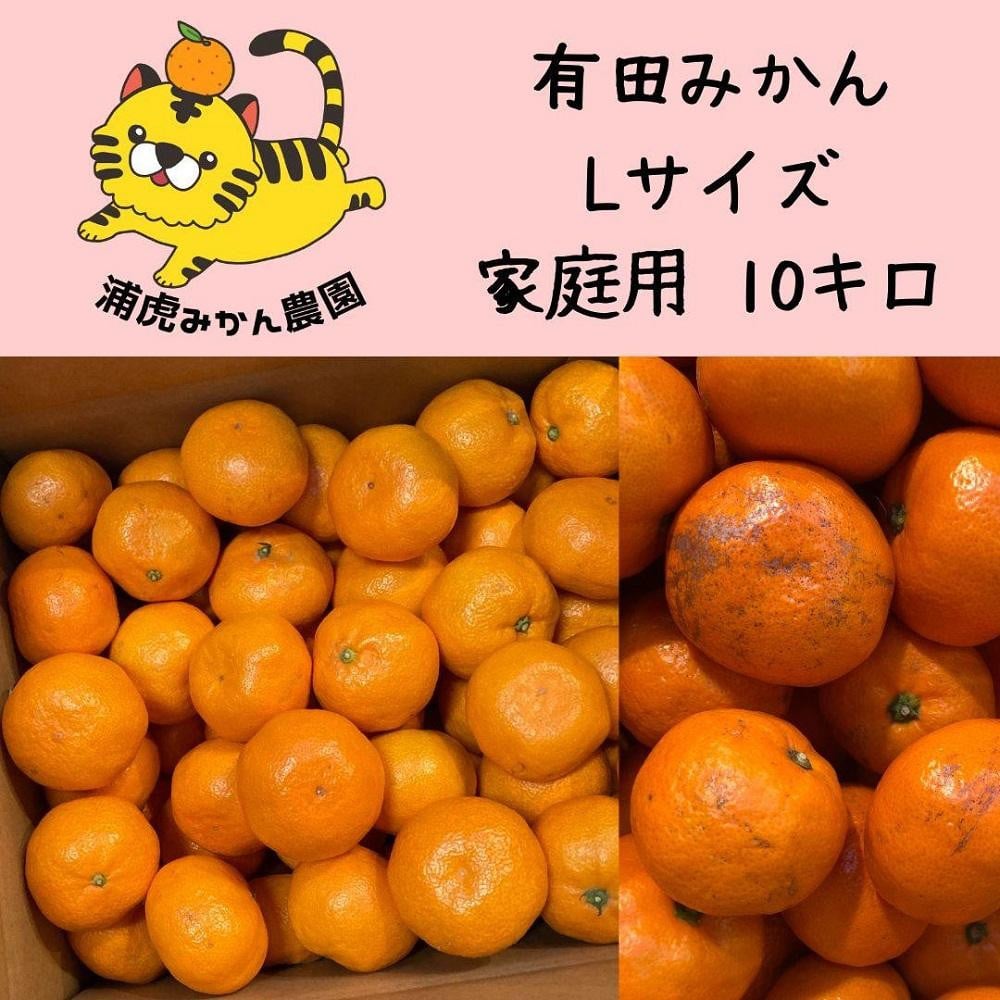 
            訳あり温州みかん 家庭用 箱込み 10kg (Lサイズ指定)
          