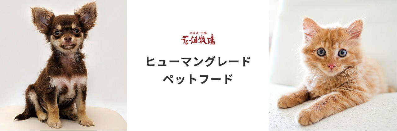 ヒューマングレードペットフード エゾ鹿肉の極上ジャーキー 30g×5個 セット（犬用おやつ）