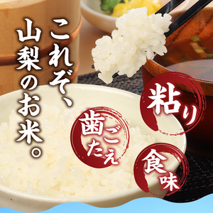 【令和7年度新米】梨北信玄米コシヒカリ10kg（玄米） 粘り 山梨最大の米処 北杜市武川町産