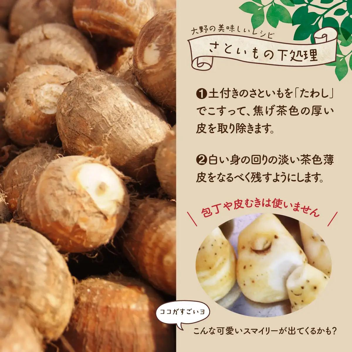 【先行予約】【2月発送分】上庄産さといも3kg 有機肥料配合 減農薬栽培 [A-005007_04]