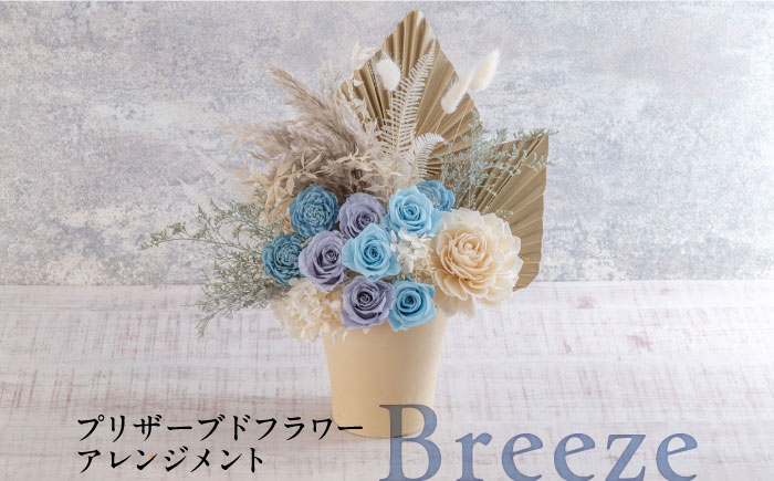 
プリザーブドフラワーアレンジメント Breeze【株式会社日比谷花壇】 [AKBO013]
