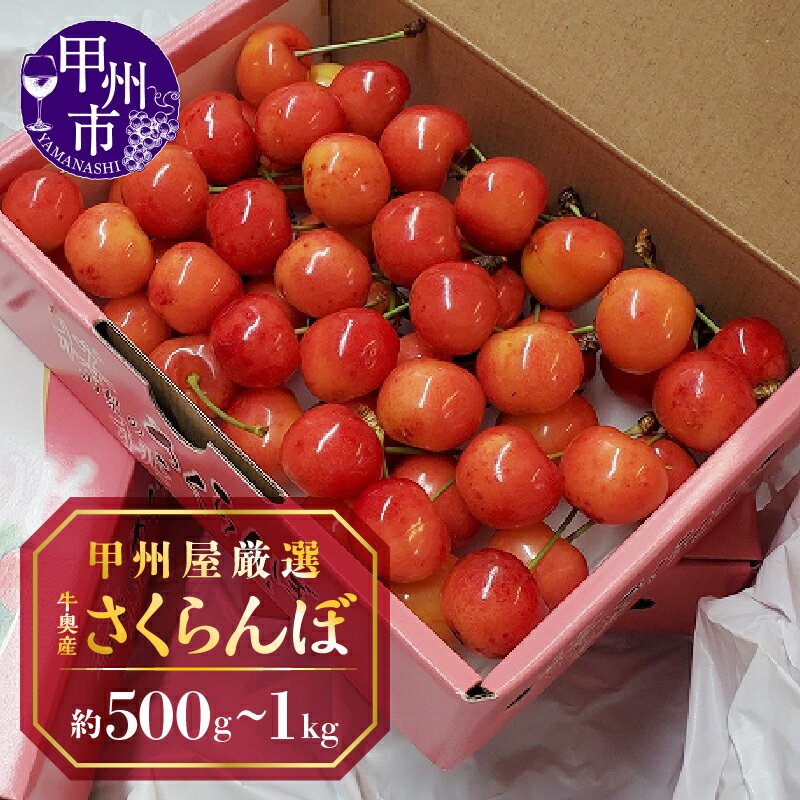 【ふるさと納税】 さくらんぼ 選べる内容量 約500g 約1kg チェリー 2025年発送 6月 発送 数量限定 期間限定 甲州屋厳選 牛奥産 果物 フルーツ ばら詰め 化粧箱入 甲州市産 山梨