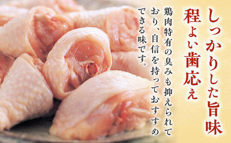博多華味鳥 水炊きセット 3-4人前 / 水炊き 鍋 なべ みずたき[AFAS001]