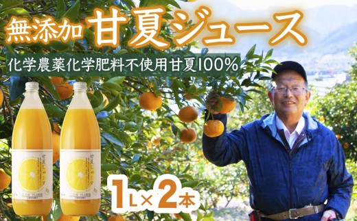 甘夏 （化学農薬化学肥料不使用）無添加100％ジュース1L×2本   尾鷲市 甘夏屋 平山農園   HI-f-12
