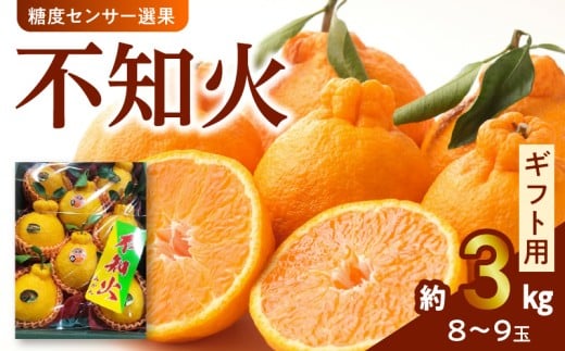 135-5　澤田果物【ギフト用】糖度センサー選果 不知火 約３kg（８～９玉）
