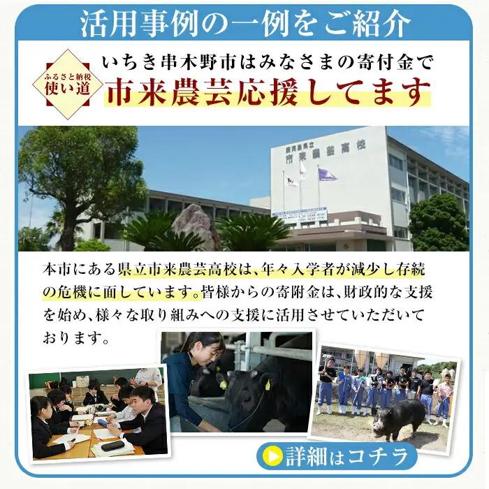 返礼品無し寄附（10,000円分）【Z-003】