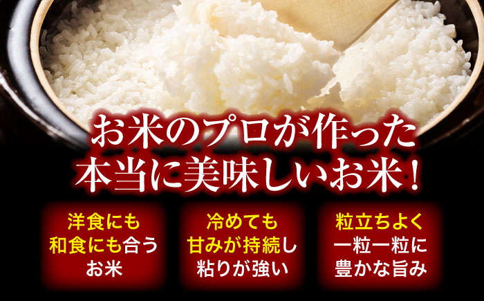【全12回定期便】【シェフの目線】クリーン白米+旬のお野菜セット【ふるさと納税限定】　愛媛県大洲市/有限会社ヒロファミリーフーズ[AGBX011]お米 白米 あきたこまち サラダ カレー トマト 料理