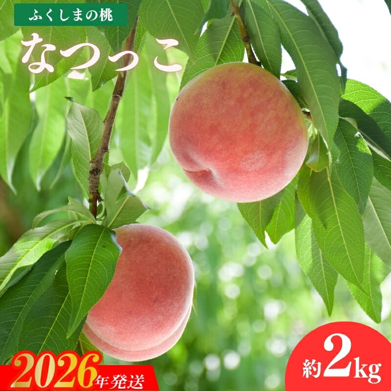 【ふるさと納税】No.2213 もも「なつっこ」約2kg【2026年発送 先行予約】