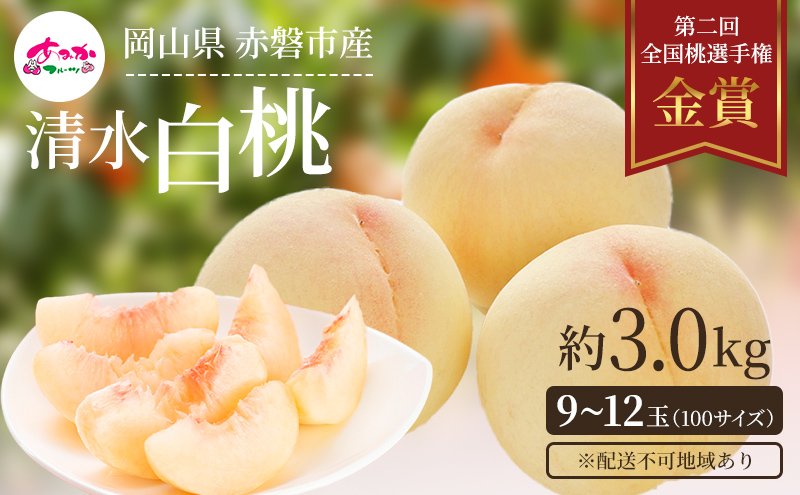 桃 2025年 先行予約 清水 白桃 をお届け！約3.0kg 9～12玉 糖度センサー選果 糖度12度以上 もも モモ 岡山県 赤磐市産 国産 フルーツ あみかフルーツ