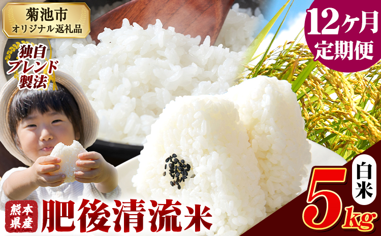 【12ヶ月定期便】熊本県産 肥後清流米 白米 5kg ブレンド米 熊本県産 ふるさと納税 精米 米 こめ ふるさとのうぜい コメ お米 おこめ《お申込み翌月から出荷》