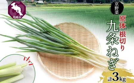 九条ねぎ 原体 根切り 3kg 京のおねぎはん 野菜 京野菜 野菜 野菜