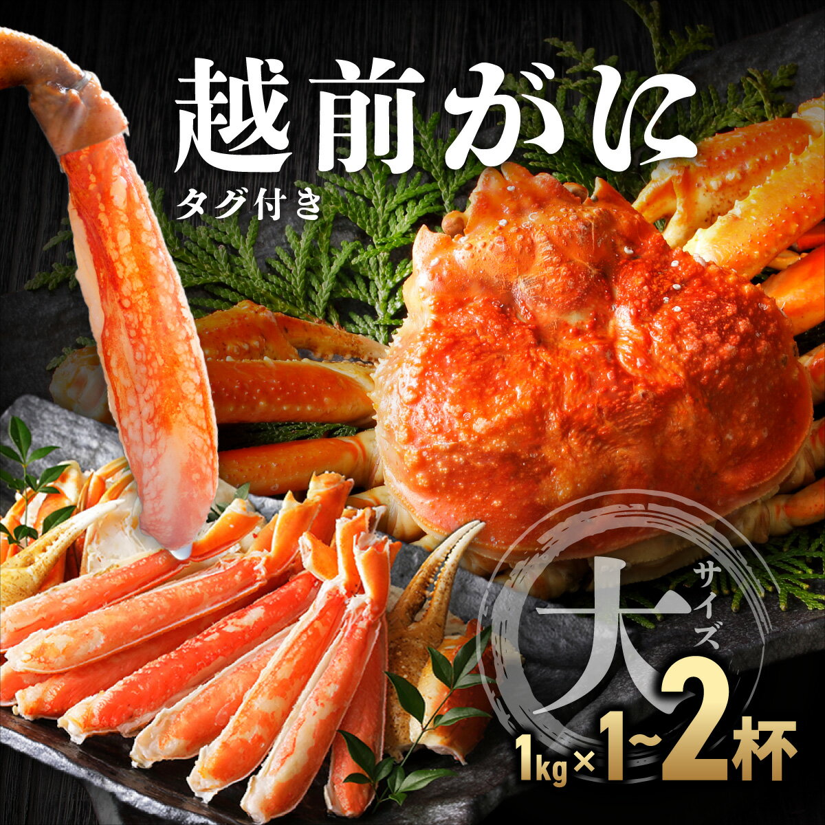 【ふるさと納税】【数量限定・期間限定・先行予約】タグ付き 越前がに 大サイズ（ボイル前1kg前後）1杯〜2杯【マイマルシェ 敦賀 越前蟹 カニ 蟹 ズワイガニ ズワイ蟹 海鮮 かに鍋 かにしゃぶ お中元 お歳暮 ギフト 贈り物 NEW 新規】