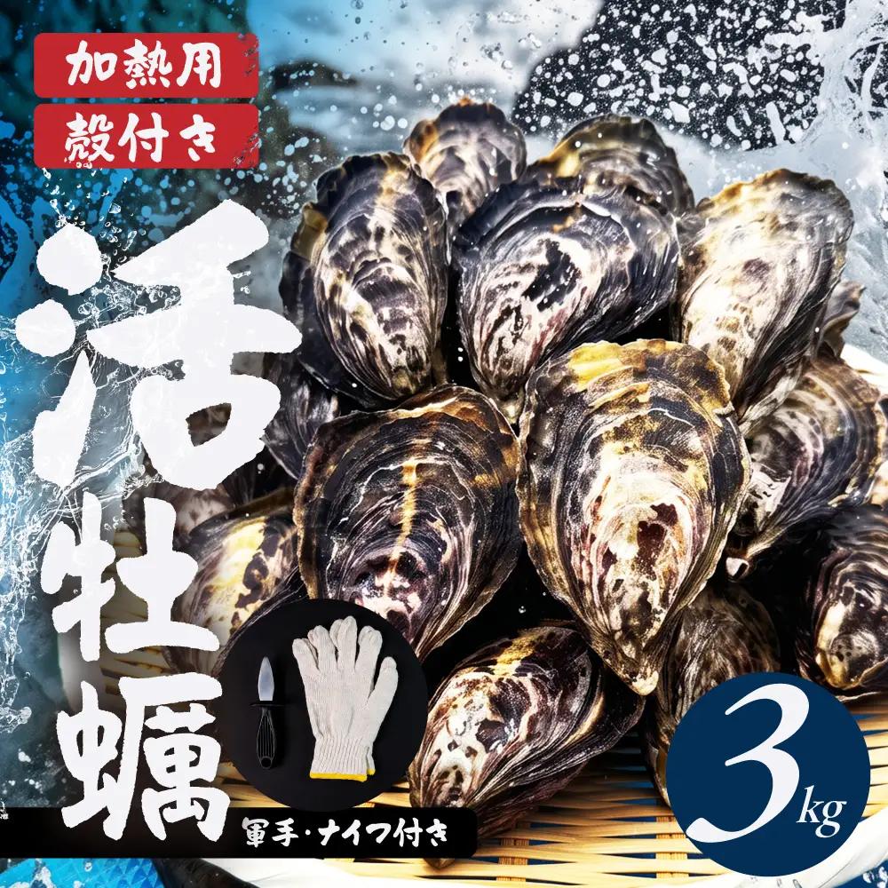 【数量限定】殻付き 生牡蠣（加熱用）3kg　| 軍手・牡蠣ナイフ付