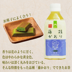 ペットボトル お茶 藤枝かおり 350ml×24本 静岡茶2ケース お茶