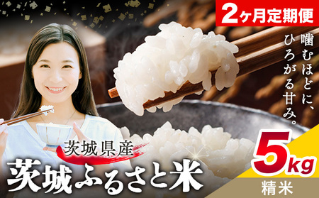 米白米5kg2回お届け定期便《翌々月から出荷開始》【茨城県共通返礼品】