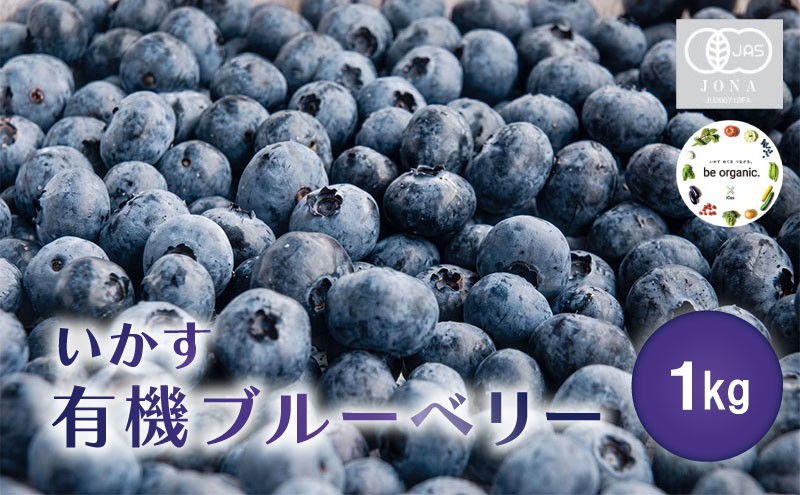 
                  ブルーベリー いかす 有機 ブルーベリー 1kg / ぶるーべりー 果物 blueberry フルーツ スイーツ 有機 デザート 神奈川県 平塚市 いかす
                