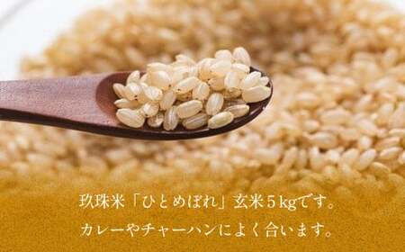 【令和6年産】玖珠米 玄米 「ひとめぼれ」5kg 玖珠米 玄米 ひとめぼれ 5kg 令和5年産 特A 食味ランキング 3年連続 玄米 カレー チャーハン 大分県 玖珠町 美しい水 寒暖の差 肥沃な土壌