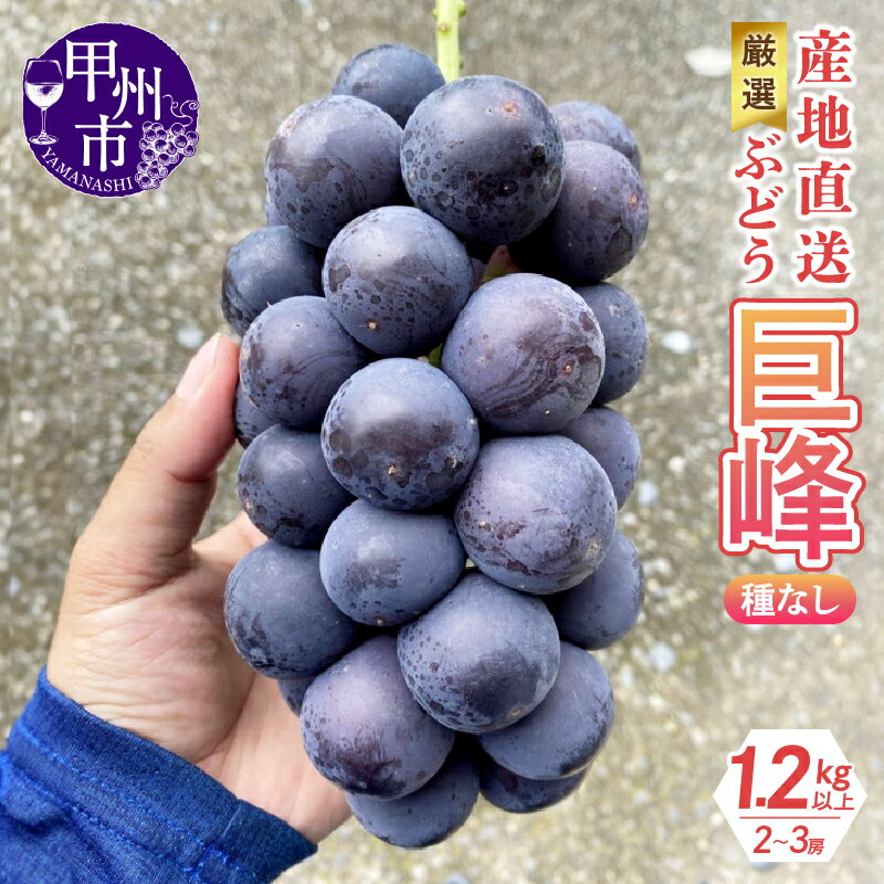 【ふるさと納税】 巨峰 黒ぶどう 果物 種なし 1.2kg 2～3房 厳選 産地直送 フルーツ ブドウ 果実 くだもの 期間限定 数量限定 家庭用 ギフト 贈答 2025年発送 8月 9月 発送 山梨県 甲州市 （KKH） 【B-492】