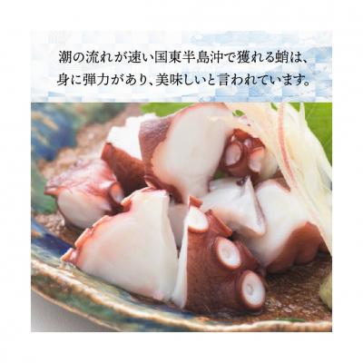 ふるさと納税 国東市 国東半島の天然地だこ 1.5kg_0013N-2 |  | 01