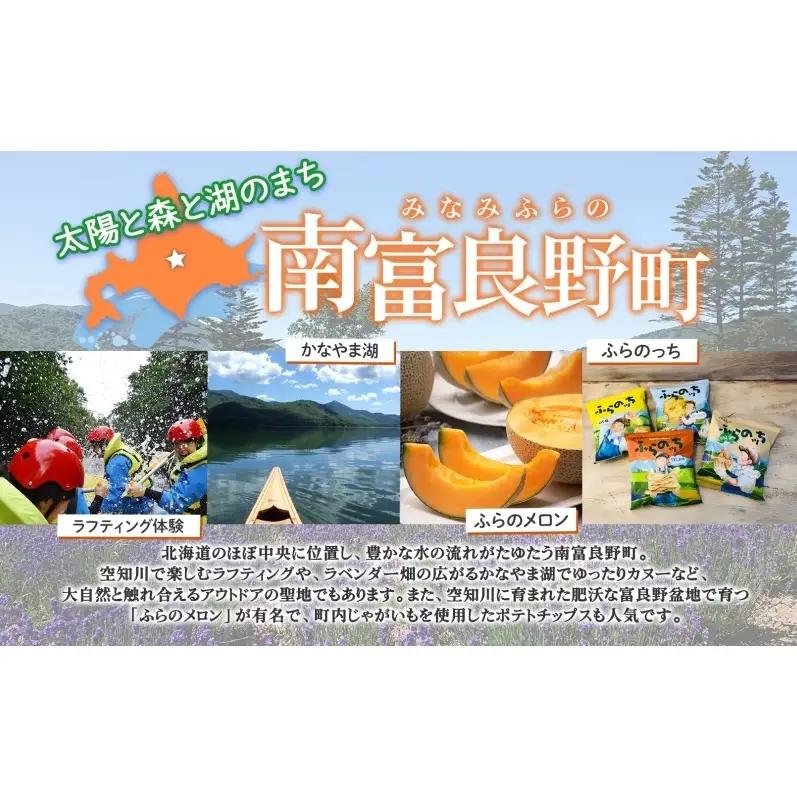 手作りジャムセット 【ブルーベリー】 2個 北海道 南富良野町 ジャム ブルーベリー ソース 果実 ベリー