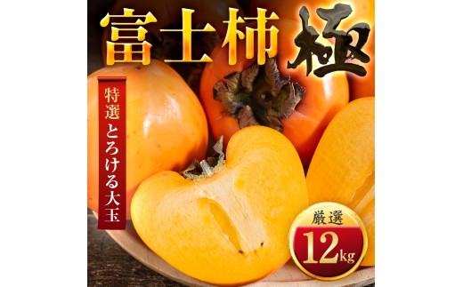 【先行受付】【年内発送!】肉厚濃蜜 富士柿12kg愛媛県産【H49-106】ふるさと納税 柿 かき 富士柿 フルーツ カキ 果物  2.5kg 3.5kg 6kg 12kg 愛媛県 八幡浜市【1741179】 YWTZ099