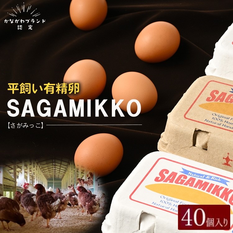 《かながわブランド認定》平飼い有精卵さがみっこ 10個入り×4パック 計40個 | 平飼い ケージフリー 卵 有精卵 鶏卵 玉子 たまご 生卵 国産 濃厚 コク 旨味 ※離島への配送不可