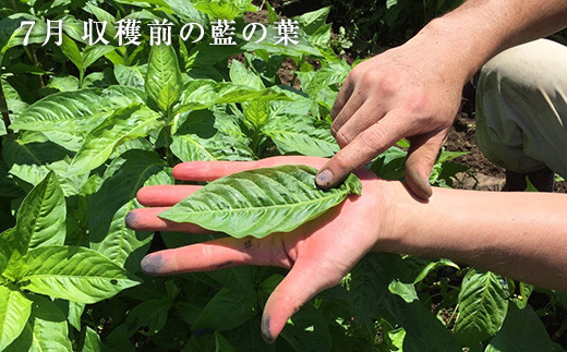 手作り 藍染のガーゼマスク 大人用 Mサイズ マスク 綿100%