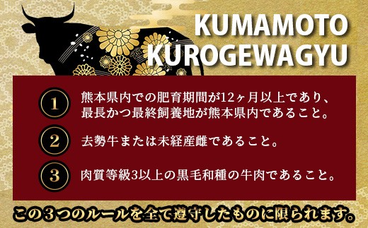 【定期便6回】《訳あり》くまもと黒毛和牛 切り落とし 500g × 6回配送 【合計3kg】