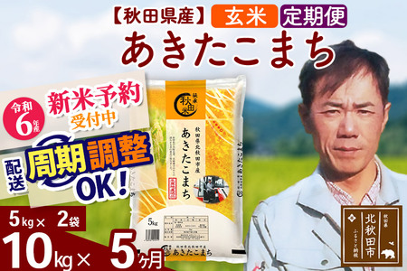 ※令和6年産 新米予約※《定期便5ヶ月》秋田県産 あきたこまち 10kg【玄米】(5kg小分け袋) 2024年産 お届け時期選べる お届け周期調整可能 隔月に調整OK お米 みそらファーム