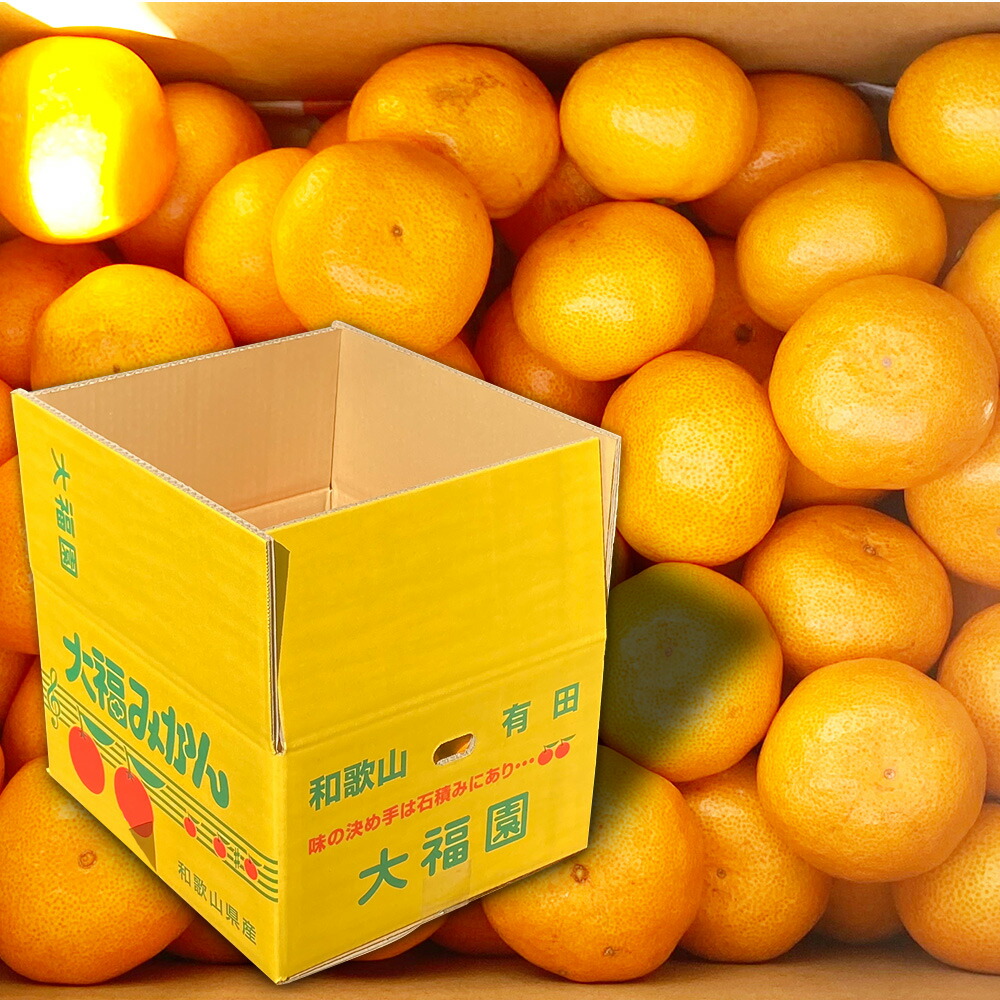 BT6009_【2025年先行予約】和歌山県有田産 みかん 10kg×2箱 2L～3Sサイズ（おまかせ）【訳あり・家庭用】