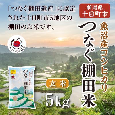 ふるさと納税 十日町市 令和7年産新潟県十日町市魚沼産コシヒカリ「つなぐ棚田米」玄米5kg