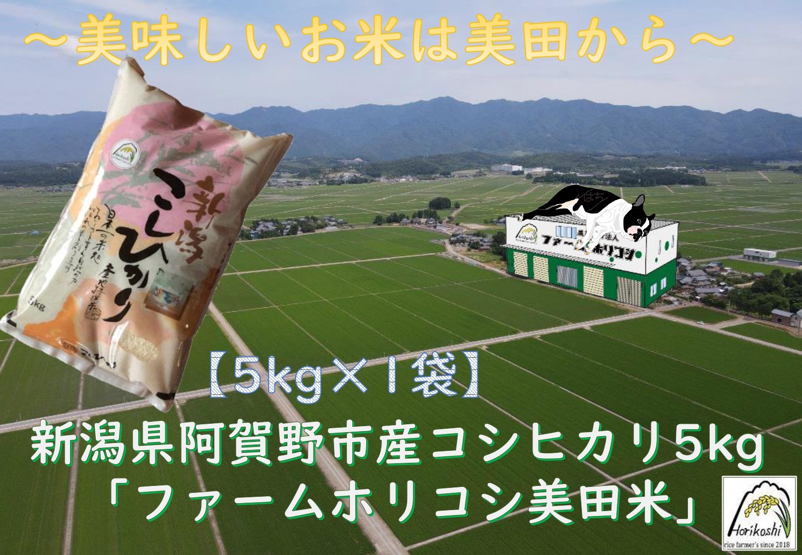 
            【令和7年産新米予約】阿賀野市産 コシヒカリ 「ファームホリコシ美田米」 5kg 白米 精米 10月中旬より順次発送予定 3H01014
          