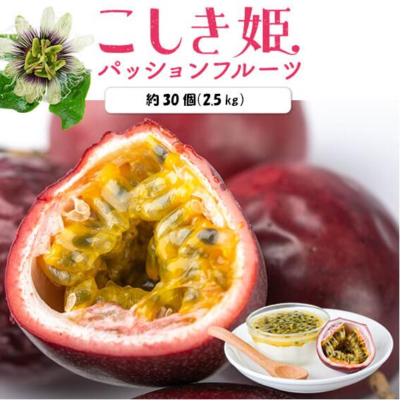 【ふるさと納税】数量限定 甑島のパッションフルーツ 青果2.5kg ご自宅用【2025年6月下旬頃から順次発送】BSR-639 期間限定 数量限定 パッションフルーツ トロピカルフルーツ 人気 甘酸っぱい 南国フルーツ 旬の果物 季節のフルーツ 果物 鹿児島県 薩摩川内市 送料無料